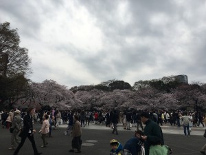 上野公園の写真